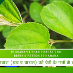 15 Shaban ( Shab e Barat ) Ko Berry K Patton Se Nahana / 15 शाबान (शब ए बारात) को बेरी के पत्तों से नहाना