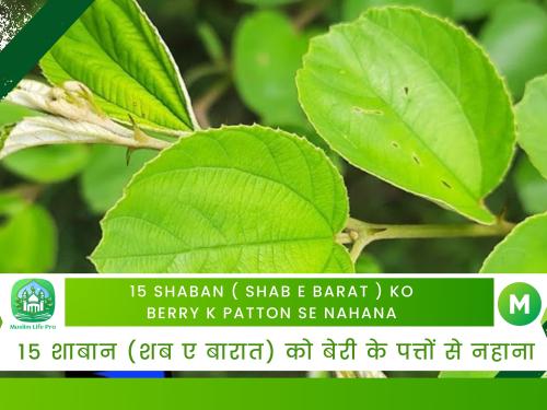 15 Shaban ( Shab e Barat ) Ko Berry K Patton Se Nahana / 15 शाबान (शब ए बारात) को बेरी के पत्तों से नहाना
