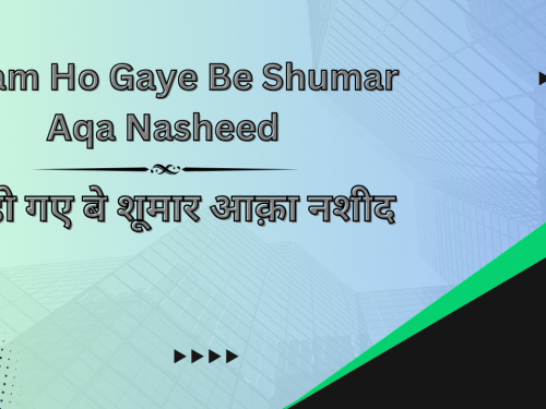 Gham Ho Gaye Be Shumar Aqa Nasheed / ग़म हो गए बे शूमार आक़ा नशीद