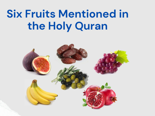 Six Fruits Mentioned in the Holy Quran